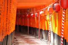 千本鳥居