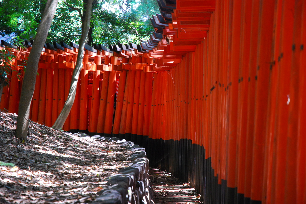 千本鳥居