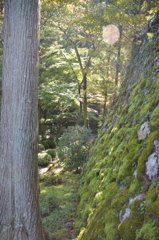 霊山寺