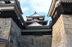 The castle ~松山城