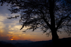 いつもの夕暮れ