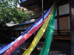 修善寺
