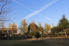 X