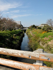 水路が見える風景