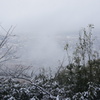 霧の下の町