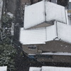 雪がふるふる