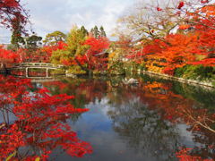 京都 永観堂