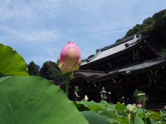 P7210538