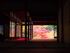 京都東山 天授庵