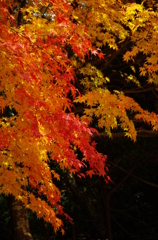 20121124-110905