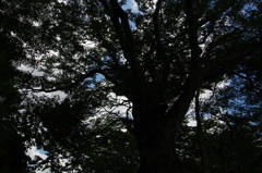 20110813-123751