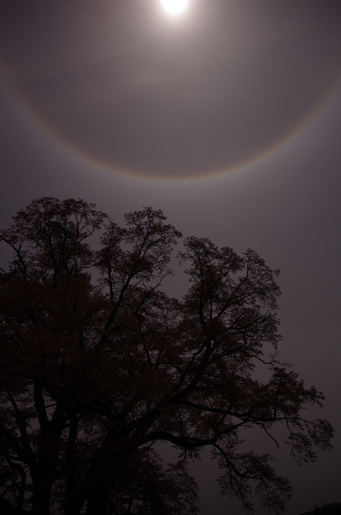 20120429-120009