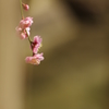 20130309-135435