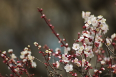 20130303-130732