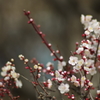 20130303-130732