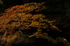 20131118-104521