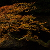 20131118-104521