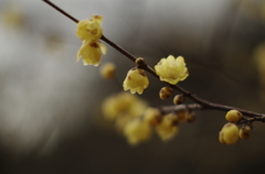 20140126-132111
