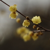 20140126-132111