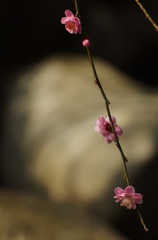 20130309-140126