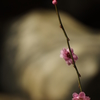 20130309-140126