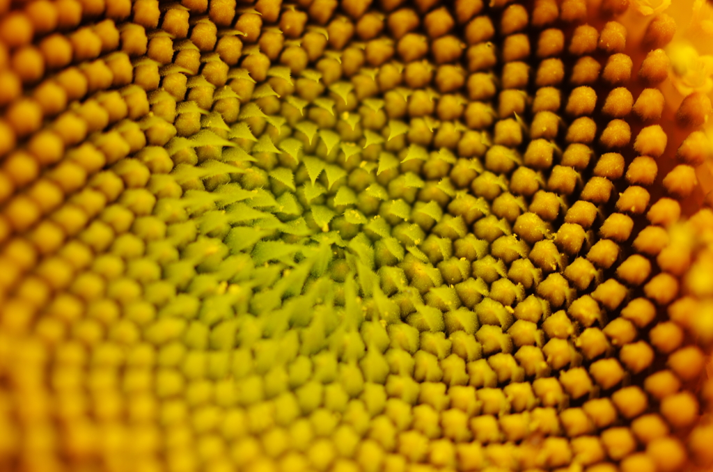 20120812-141837