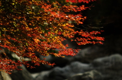 20131118-110008