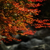 20131118-110008