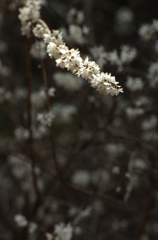 20130309-100641