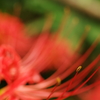 20120923-122044