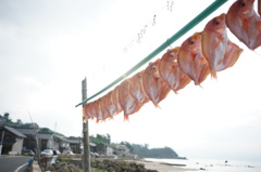 日光浴