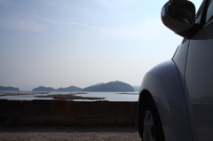 beetle