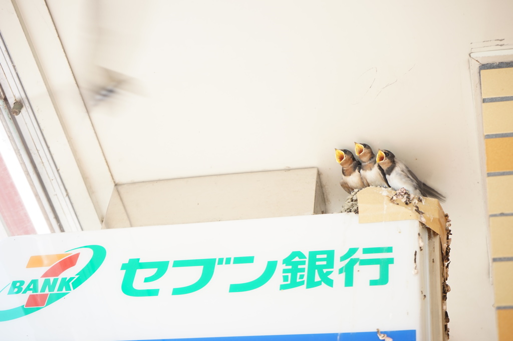 生きる