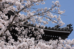 根来寺