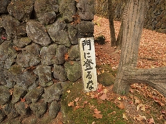 門に登るな！！