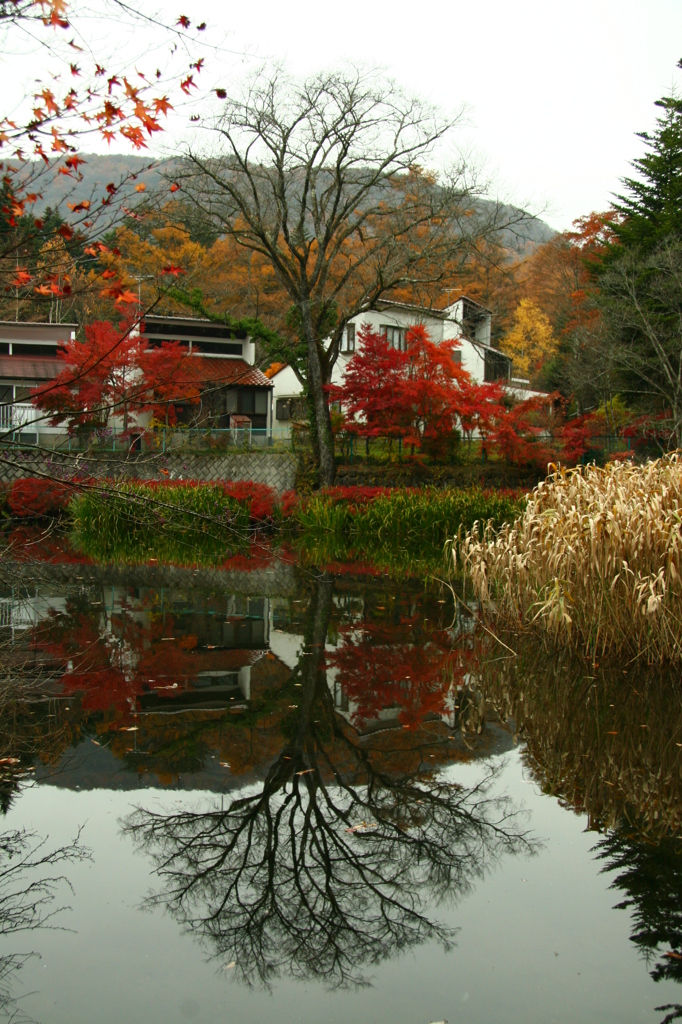 晩秋