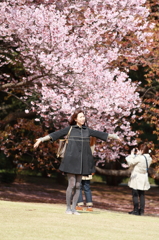 桜と女子