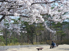 P1000864