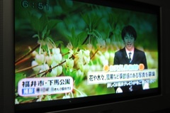 またまたテレビに