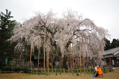 足羽神社