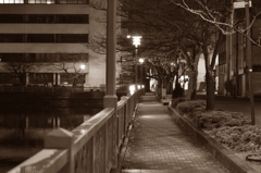 夜の散歩