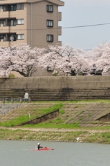 川の中から