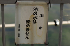 えっ??????