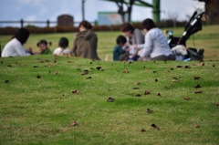 ママ会