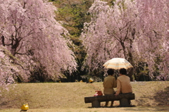 見納め