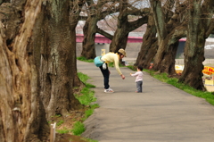 親子の散歩