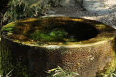 湧き水