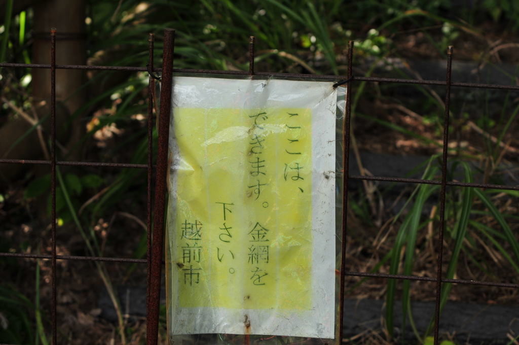 解読せよ!!