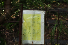 解読せよ!!