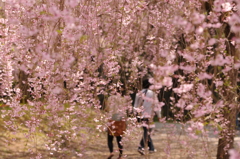 家族で…
